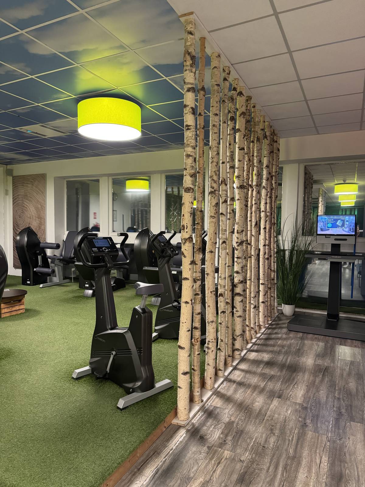 Cardiobereich mit Birkenstämmen im Sports Club Brandt Mellendorf